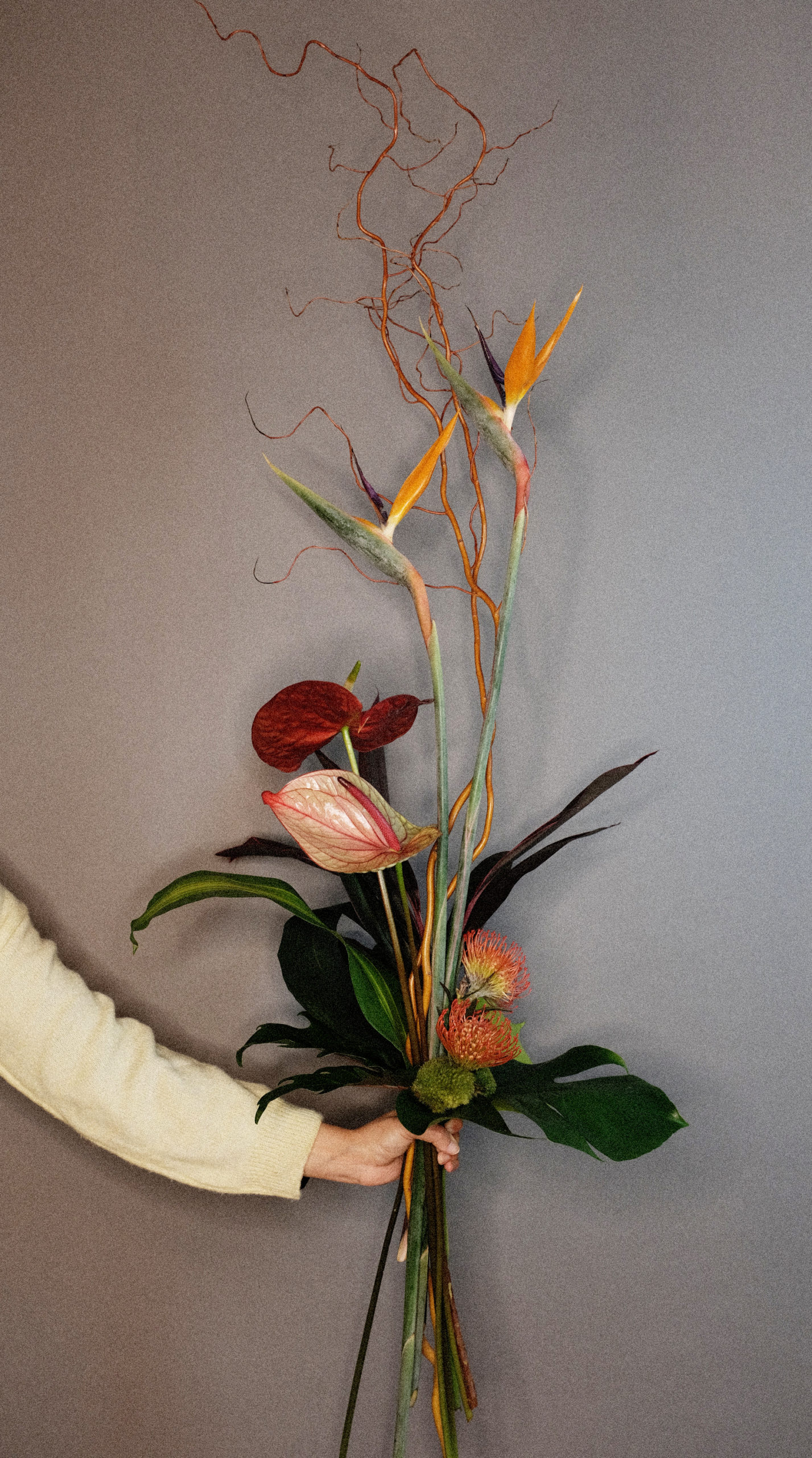 Bouquet exotique, style linéaire (tortueux, strelitzia, anthurium, nutans, monstera, xanadu, cordyline, aspidistra, mousse végétale)