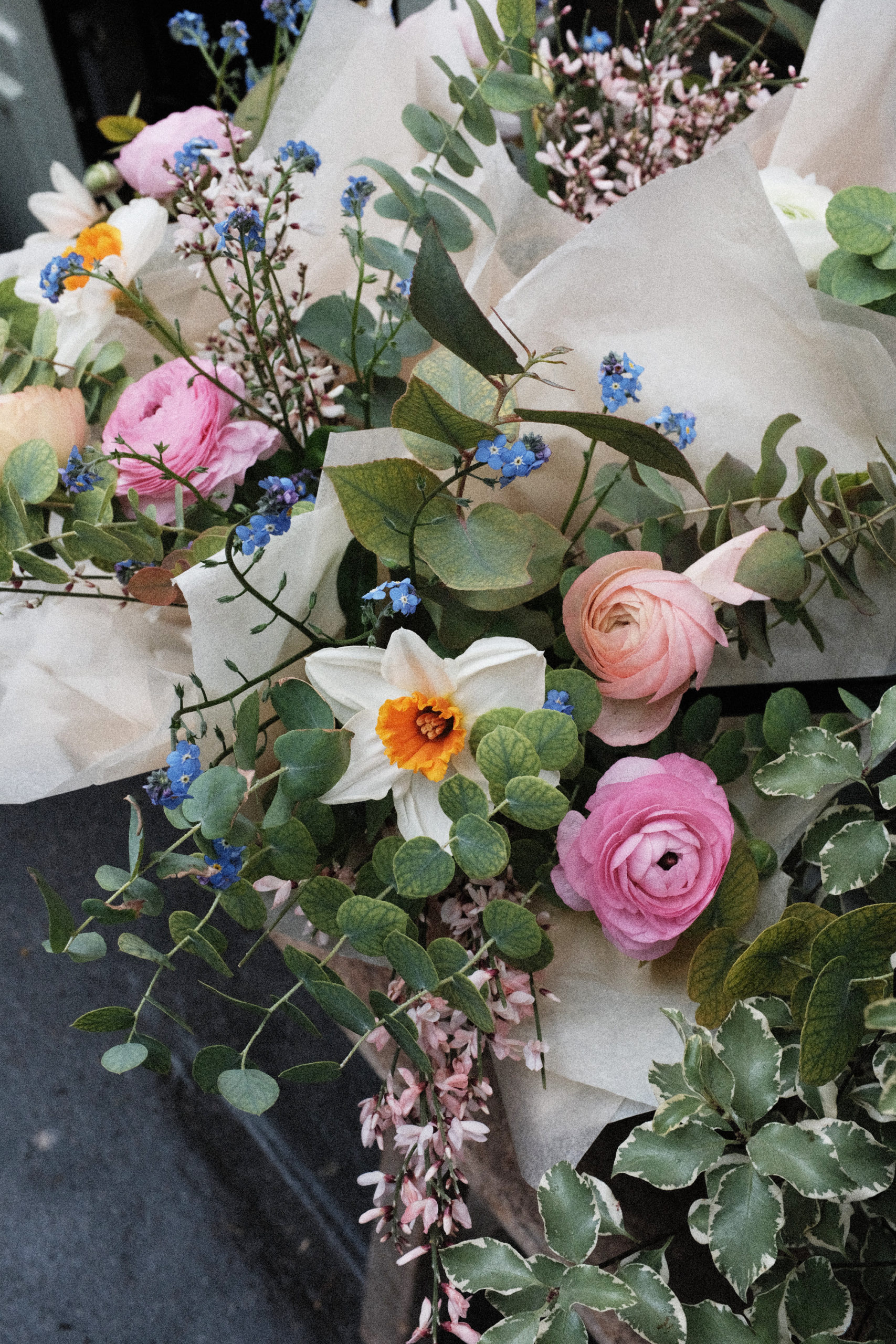 Composition de fleurs fraîches et emballage soie (eucalyptus, narcisse, genêt, renoncules extra, myosotis), valeur 15€