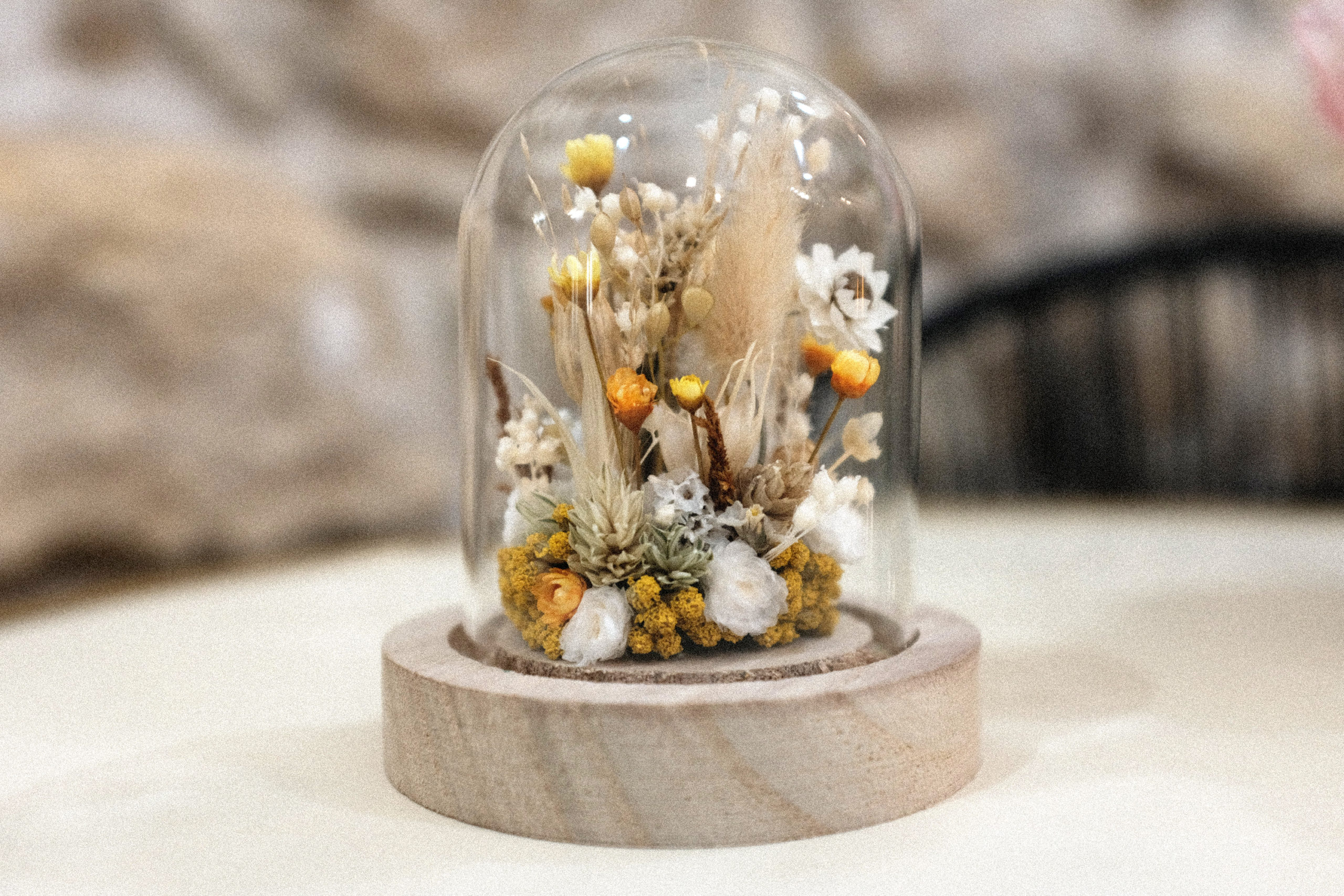 Composition de fleurs séchées sous petite cloche, valeur 20€