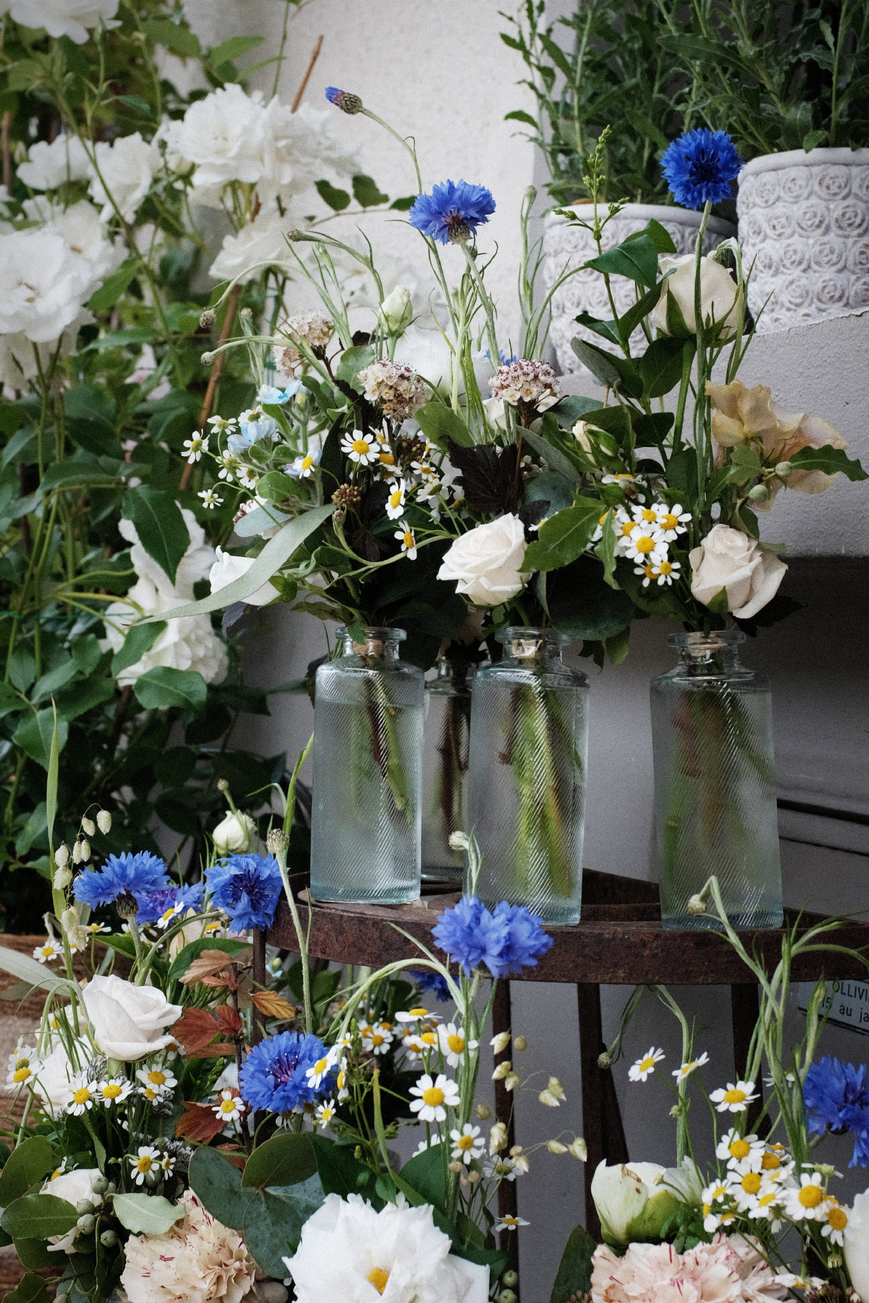Mini bouquets de végétaux variés : camomille, bleuets, lysianthus, œillets, pivoines, physocarpus, brize, eucalyptus, pittosporum…